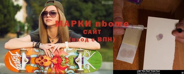 трава Няндома